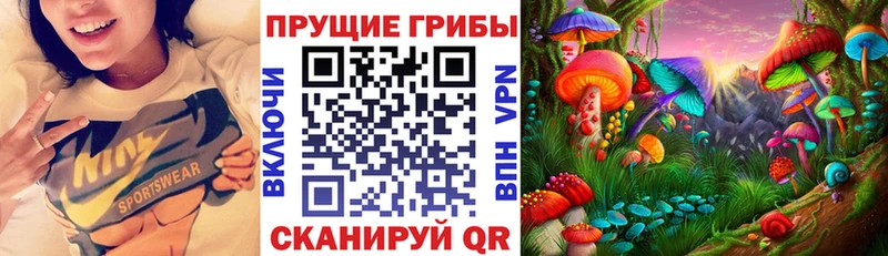 Псилоцибиновые грибы мицелий где можно купить Меленки